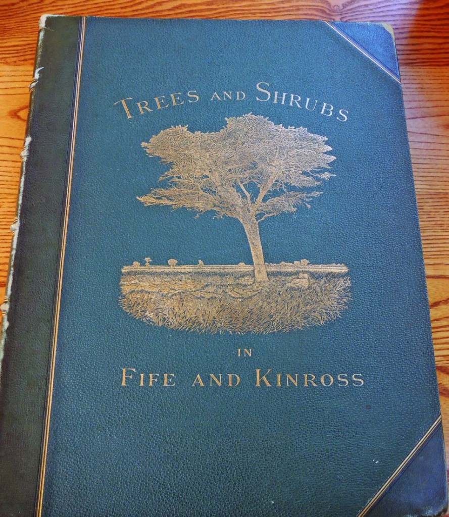 trees of fife