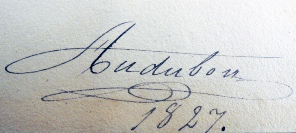 audubon signature